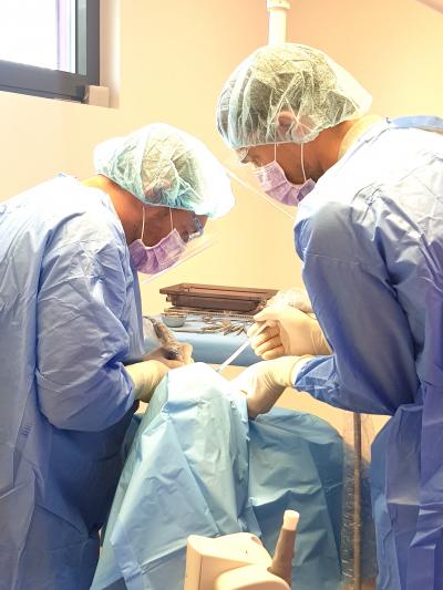 Pose d'implants dans la salle de chirurgie